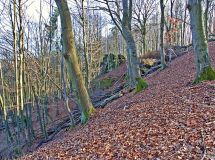15a Katzenstein